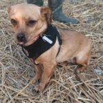 Kleine Betty geb.06.03.20