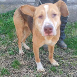 Max ( m ) geb. 22.09.21