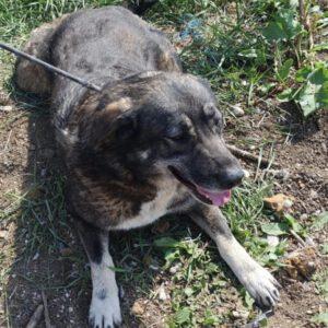 Elly ( w ) geb. 15.06.21