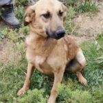 Tiffy ( w ) geb. 14.07.2025