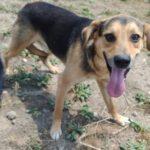 Janosch ( m ) geb. 06.06.2025