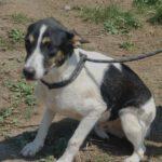 Sammy ( m ) geb. 17.08.2025